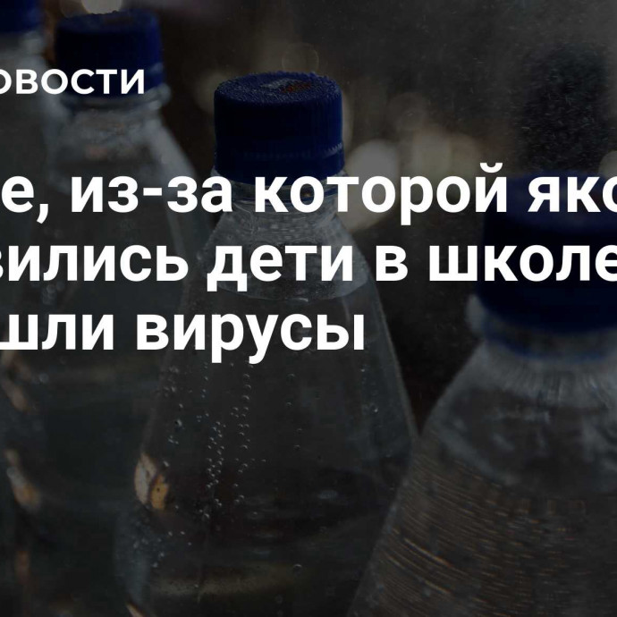 В воде, из-за которой якобы отравились дети в школе 1512, не нашли вирусы