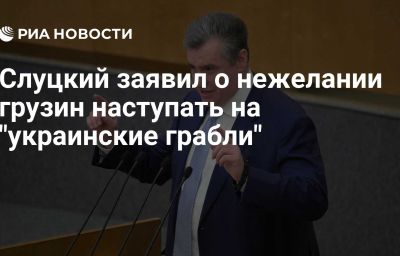 Слуцкий заявил о нежелании грузин наступать на "украинские грабли"