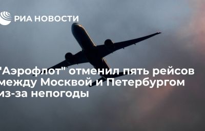 "Аэрофлот" отменил пять рейсов между Москвой и Петербургом из-за непогоды