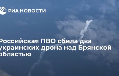 Российская ПВО сбила два украинских дрона над Брянской областью