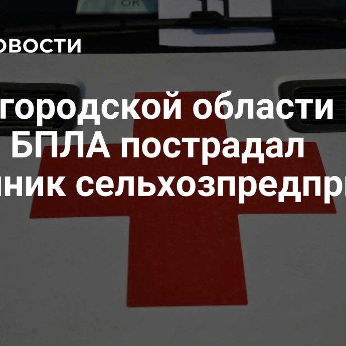 В Белгородской области при атаке БПЛА пострадал охранник сельхозпредприятия