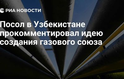 Посол в Узбекистане прокомментировал идею создания газового союза