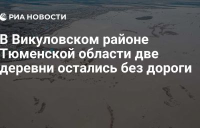 В Викуловском районе Тюменской области две деревни остались без дороги