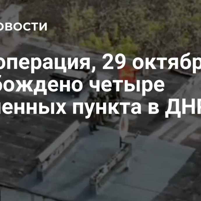 Спецоперация, 29 октября: освобождено четыре населенных пункта в ДНР