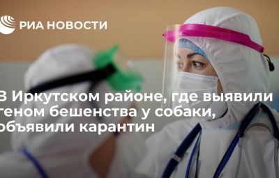 В Иркутском районе, где выявили геном бешенства у собаки, объявили карантин