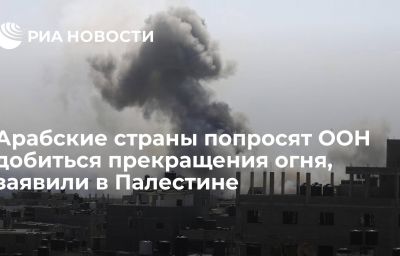 Арабские страны попросят ООН добиться прекращения огня, заявили в Палестине