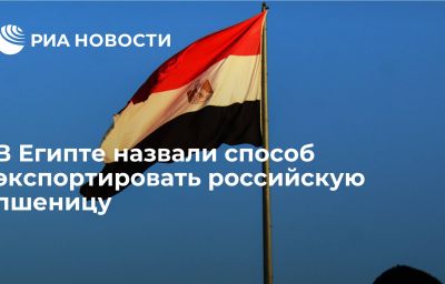 В Египте назвали способ экспортировать российскую пшеницу