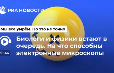 Биологи и физики встают в очередь. На что способны электронные микроскопы