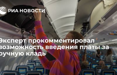 Эксперт прокомментировал возможность введения платы за ручную кладь