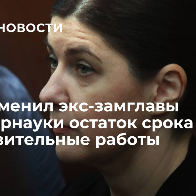 Суд заменил экс-замглавы Минобрнауки остаток срока на исправительные работы