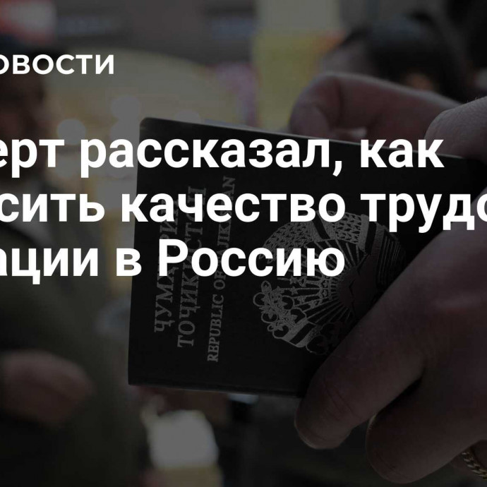 Эксперт рассказал, как повысить качество трудовой миграции в Россию