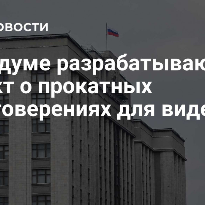 В Госдуме разрабатывают проект о прокатных удостоверениях для видеоигр