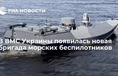 В ВМС Украины появилась новая бригада морских беспилотников