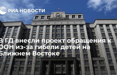 В ГД внесли проект обращения к ООН из-за гибели детей на Ближнем Востоке