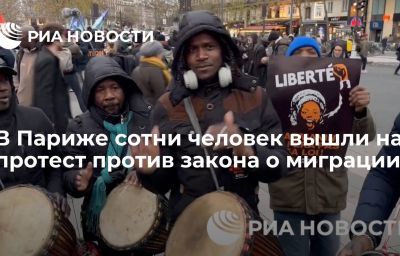 В Париже сотни человек вышли на протест против закона о миграции