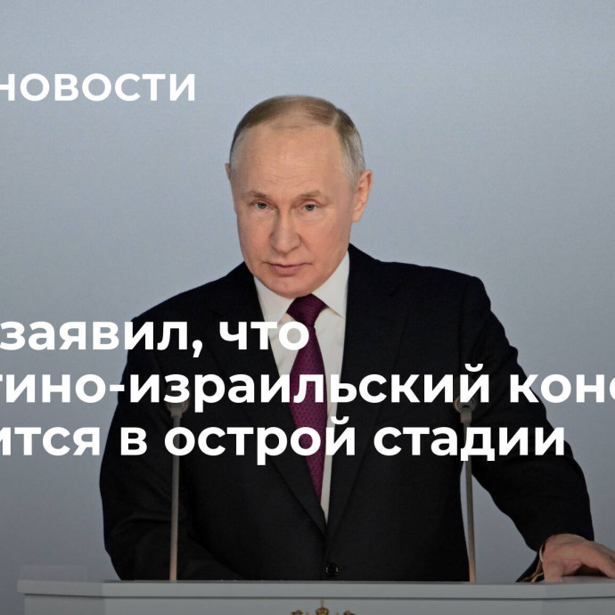 Путин заявил, что палестино-израильский конфликт находится в острой стадии