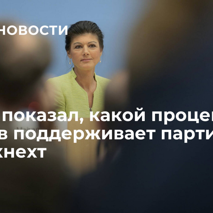 Опрос показал, какой процент немцев поддерживает партию Вагенкнехт