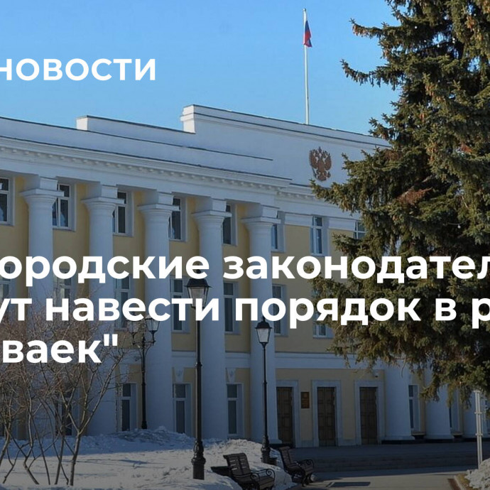 Нижегородские законодатели помогут навести порядок в работе 