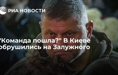 "Команда пошла?" В Киеве обрушились на Залужного