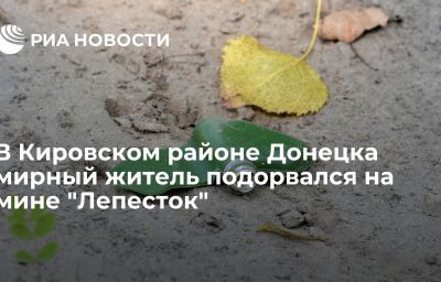 В Кировском районе Донецка мирный житель подорвался на мине "Лепесток"