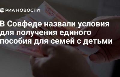 В Совфеде назвали условия для получения единого пособия для семей с детьми