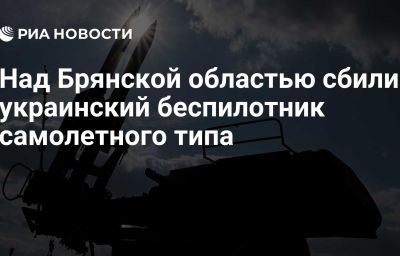 Над Брянской областью сбили украинский беспилотник самолетного типа