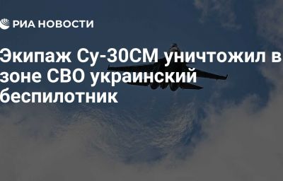 Экипаж Су-30СМ уничтожил в зоне СВО украинский беспилотник