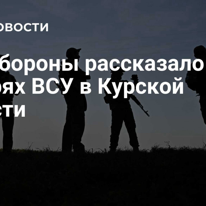 Минобороны рассказало о потерях ВСУ в Курской области