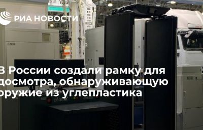 В России создали рамку для досмотра, обнаруживающую оружие из углепластика