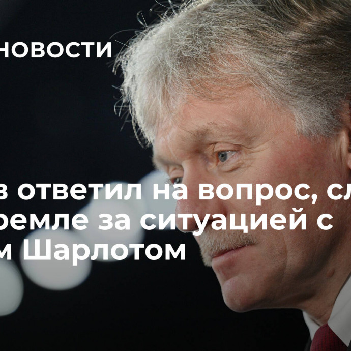 Песков ответил на вопрос, следят ли в Кремле за ситуацией с певцом Шарлотом