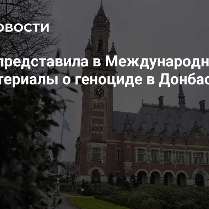 Россия представила в Международный суд ООН материалы о геноциде в Донбассе