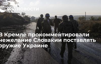 В Кремле прокомментировали нежелание Словакии поставлять оружие Украине