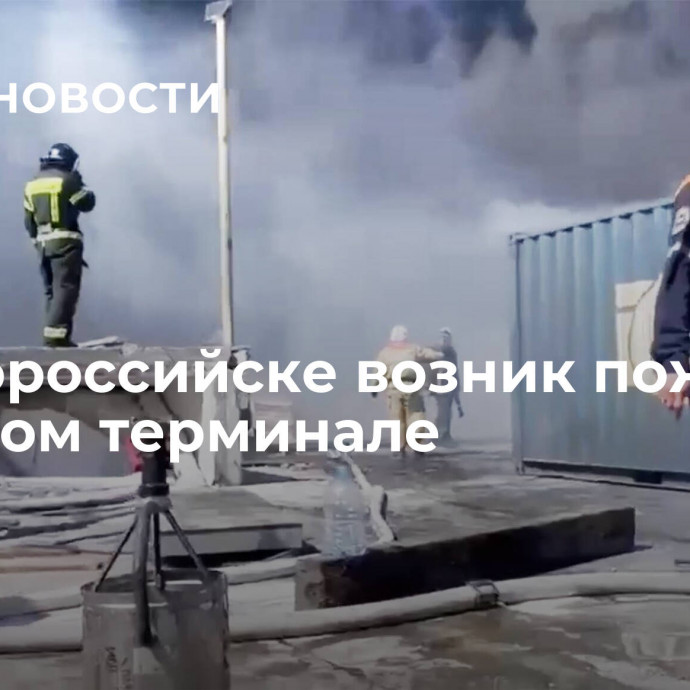 В Новороссийске возник пожар на грузовом терминале
