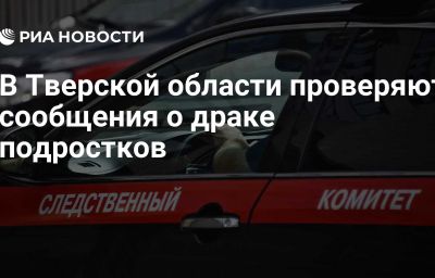 В Тверской области проверяют сообщения о драке подростков