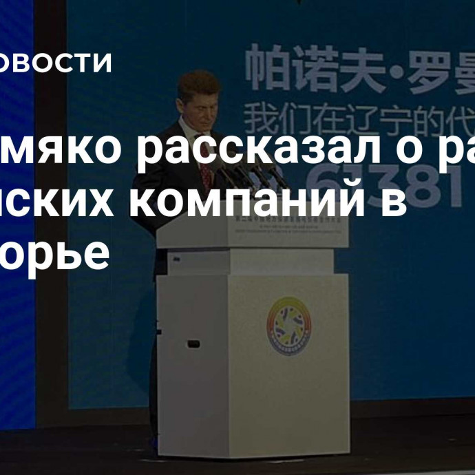 Кожемяко рассказал о работе китайских компаний в Приморье