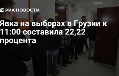 Явка на выборах в Грузии к 11:00 составила 22,22 процента