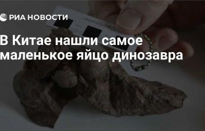 В Китае нашли самое маленькое яйцо динозавра