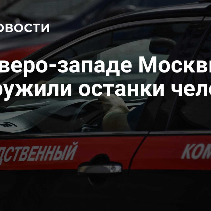 На северо-западе Москвы обнаружили останки человека