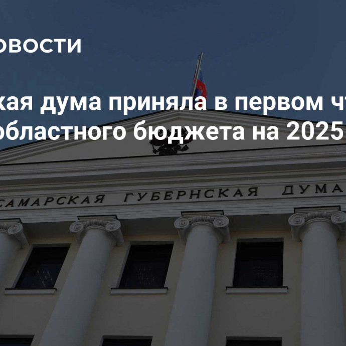 Самарская дума приняла в первом чтении проект областного бюджета на 2025 г