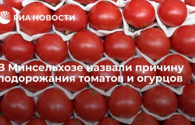 В Минсельхозе назвали причину подорожания томатов и огурцов