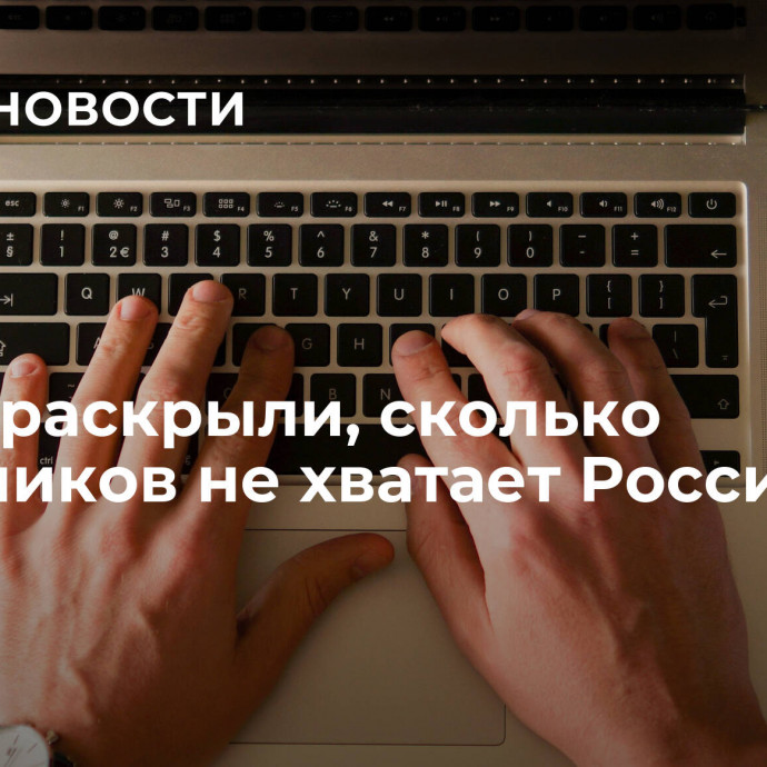 В РАН раскрыли, сколько работников не хватает России