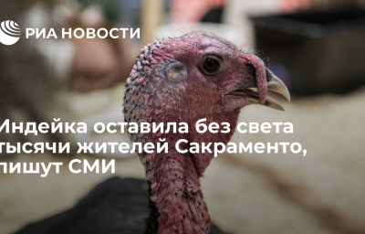 Индейка оставила без света тысячи жителей Сакраменто, пишут СМИ