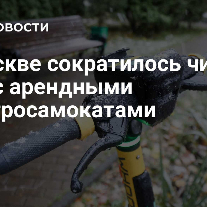 В Москве сократилось число ДТП с арендными электросамокатами