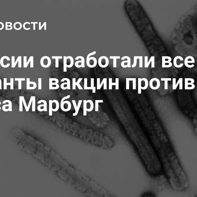 В России отработали все варианты вакцин против вируса Марбург