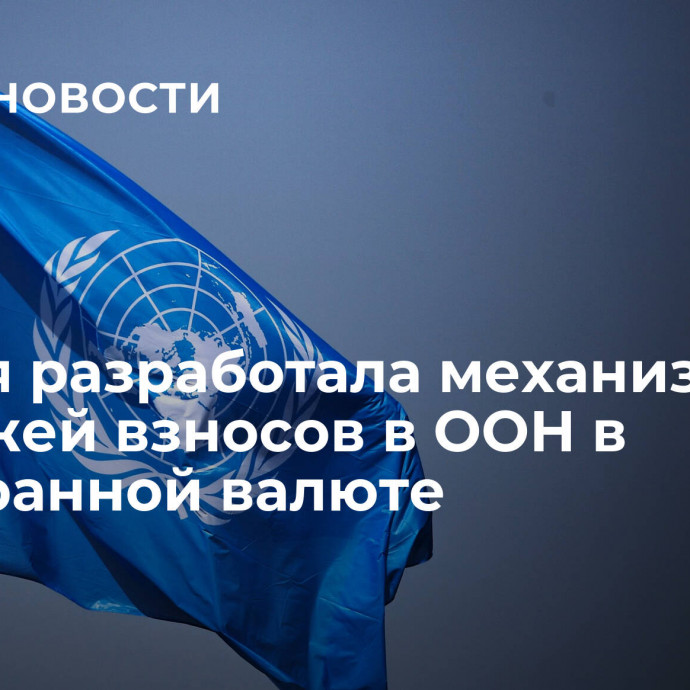 Россия разработала механизм платежей взносов в ООН в иностранной валюте