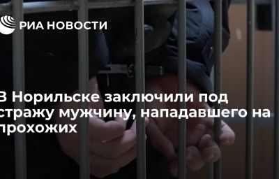 В Норильске заключили под стражу мужчину, нападавшего на прохожих