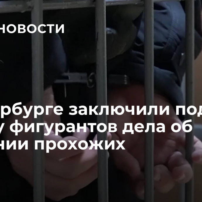 В Петербурге заключили под стражу фигурантов дела об избиении прохожих