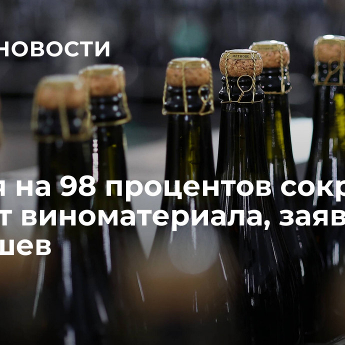 Россия на 98 процентов сократила импорт виноматериала, заявил Патрушев