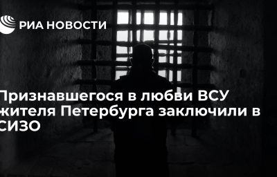 Признавшегося в любви ВСУ жителя Петербурга заключили в СИЗО