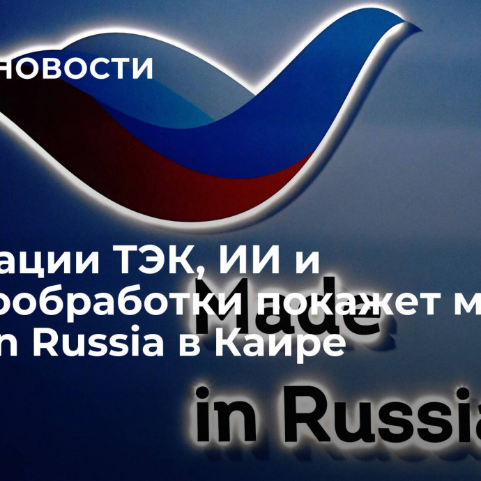 Инновации ТЭК, ИИ и деревообработки покажет миссия Made in Russia в Каире